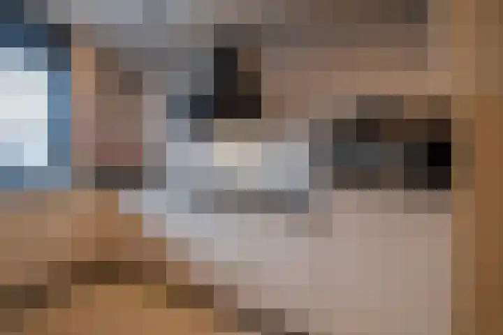 Siem Boonenstraat 12 Haelen thumbnail 21