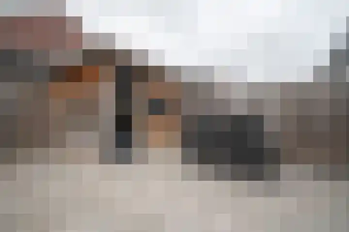 Siem Boonenstraat 12 Haelen thumbnail 24