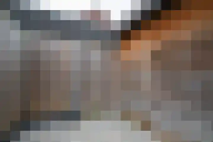 Siem Boonenstraat 12 Haelen thumbnail 25