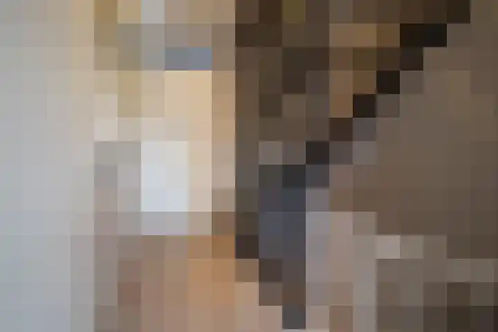 Siem Boonenstraat 12 Haelen thumbnail 26