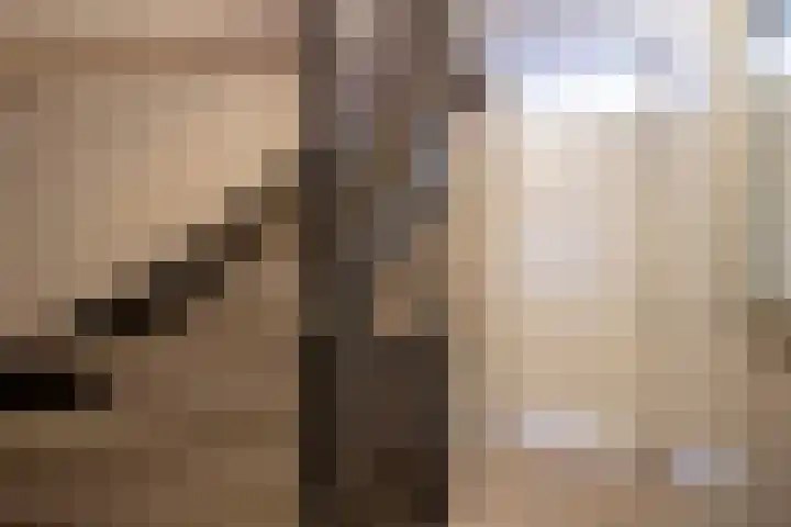 Siem Boonenstraat 12 Haelen thumbnail 27