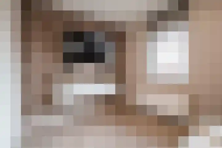 Siem Boonenstraat 12 Haelen thumbnail 30