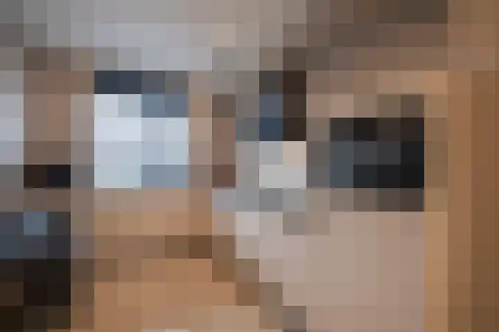 Siem Boonenstraat 12 Haelen thumbnail 4