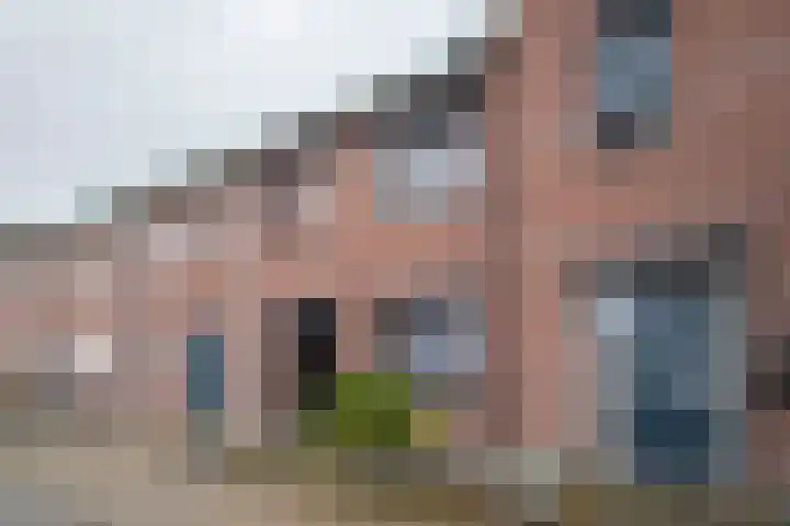 Siem Boonenstraat 12 Haelen thumbnail 7