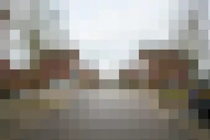 Siem Boonenstraat 12 Haelen thumbnail 8