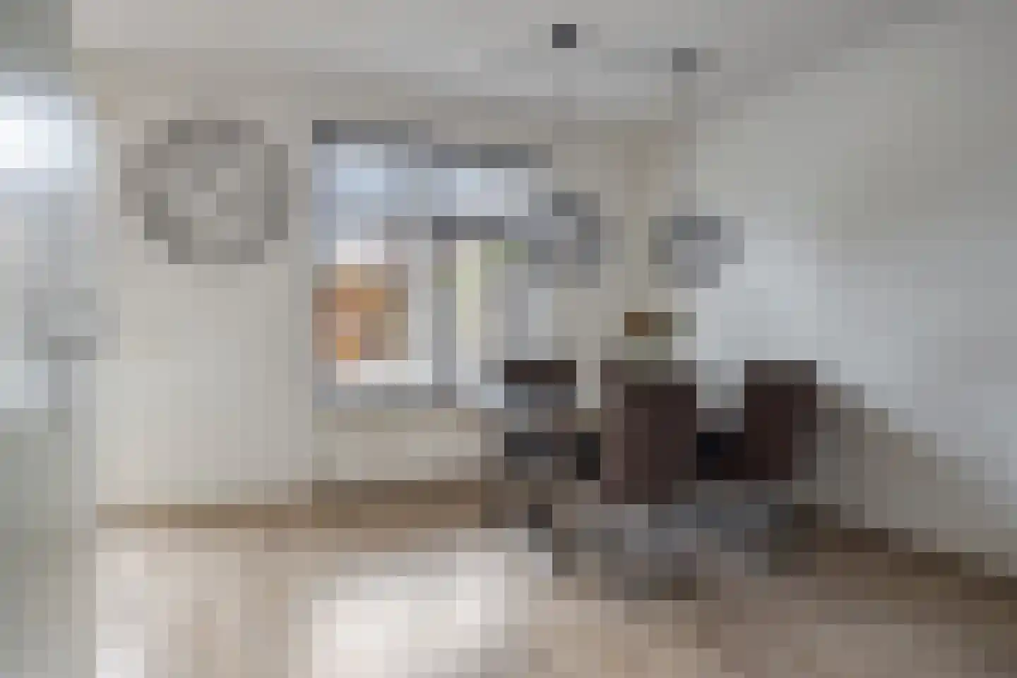 Siem Boonenstraat 3 Haelen thumbnail 13