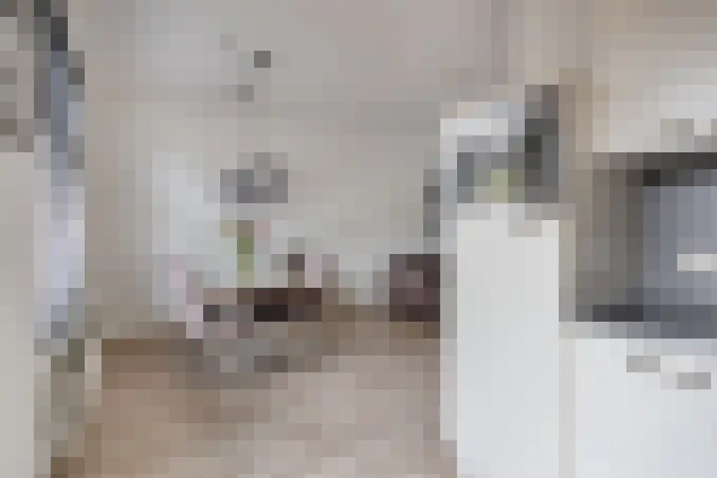 Siem Boonenstraat 3 Haelen thumbnail 16