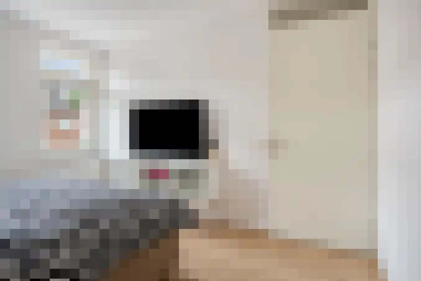 Siem Boonenstraat 3 Haelen thumbnail 20