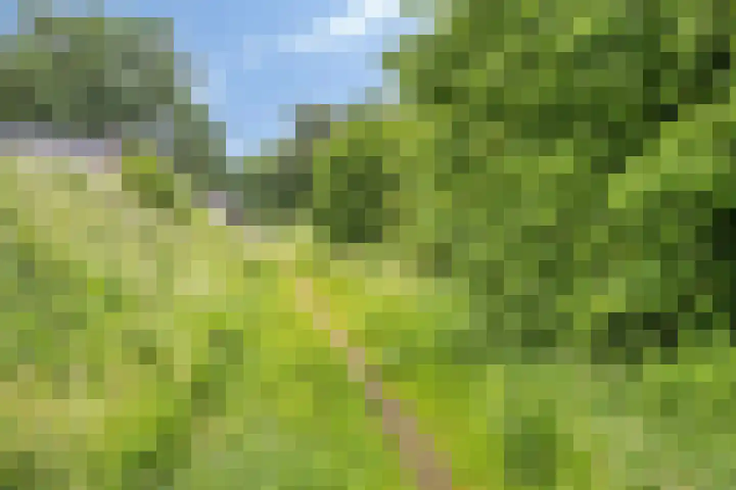 Siem Boonenstraat 3 Haelen thumbnail 33