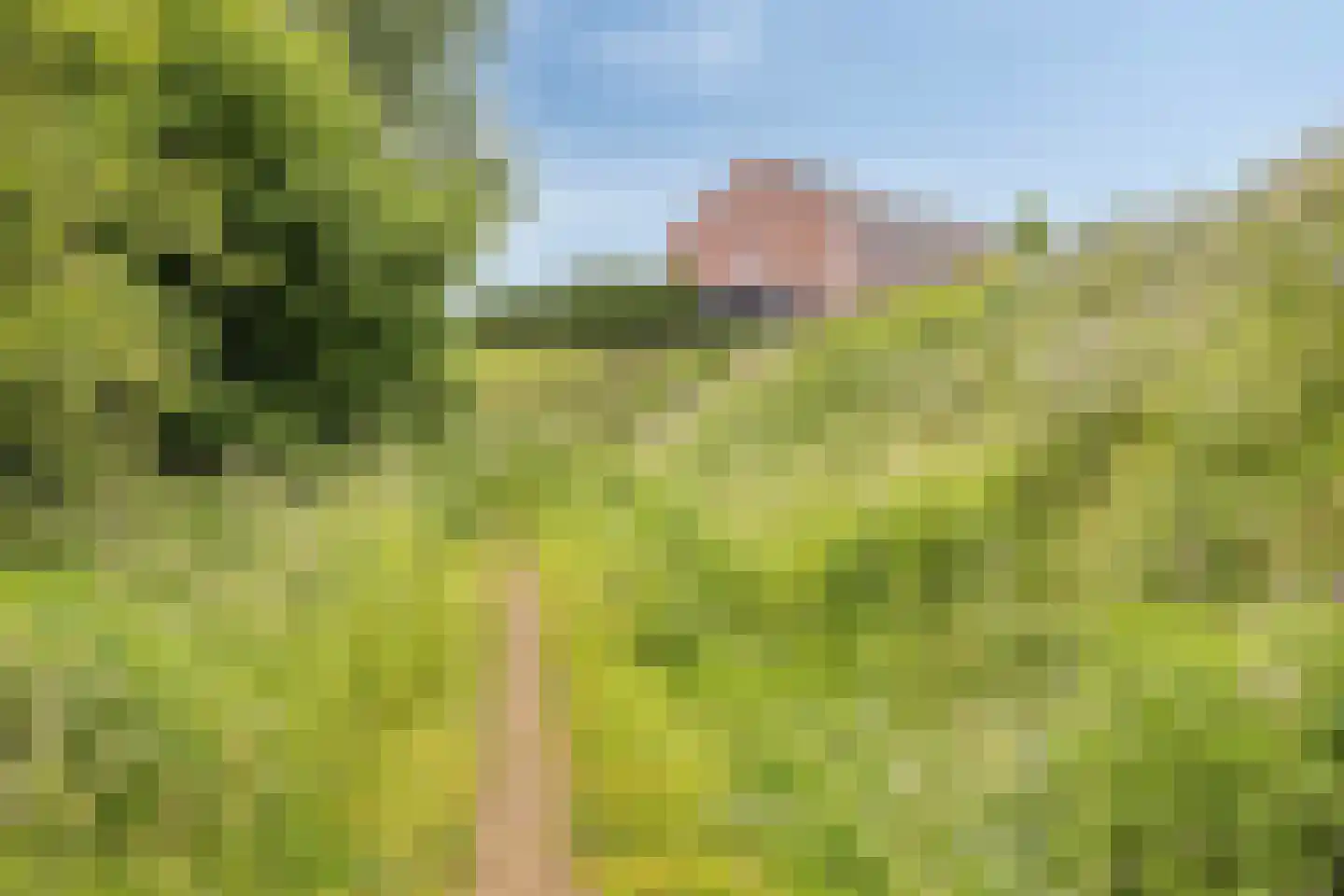 Siem Boonenstraat 3 Haelen thumbnail 34