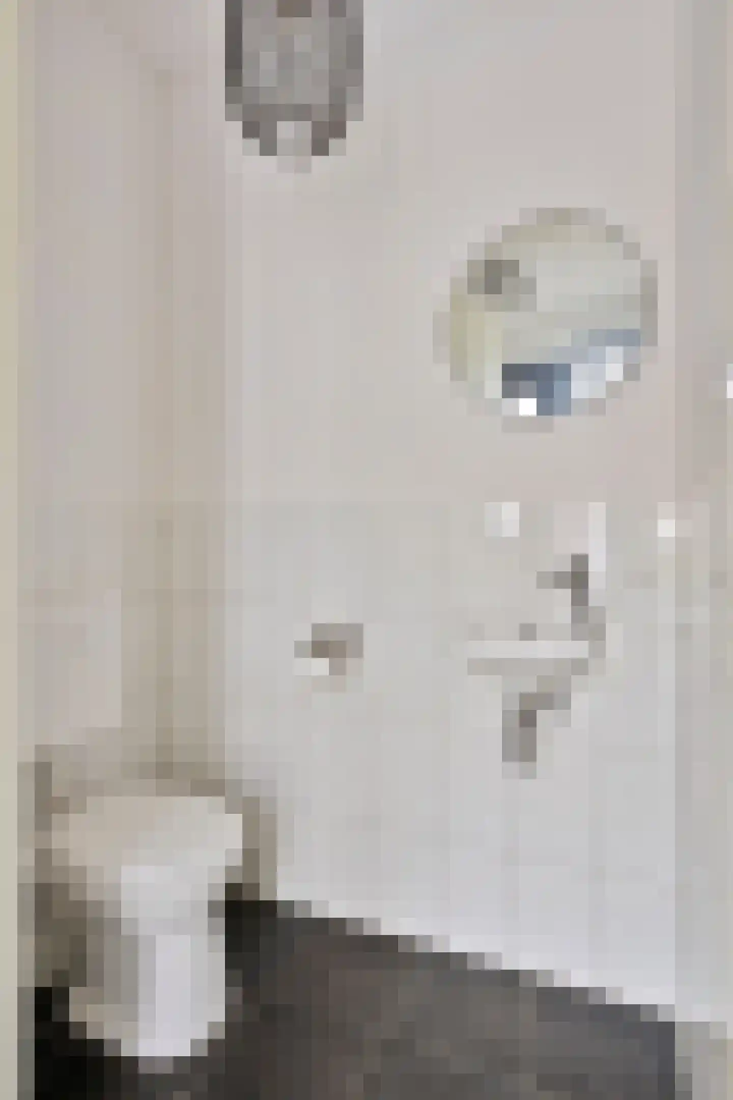 Siem Boonenstraat 3 Haelen thumbnail 8