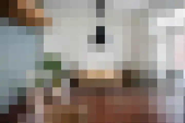 Siem Boonenstraat 4 Haelen thumbnail 14