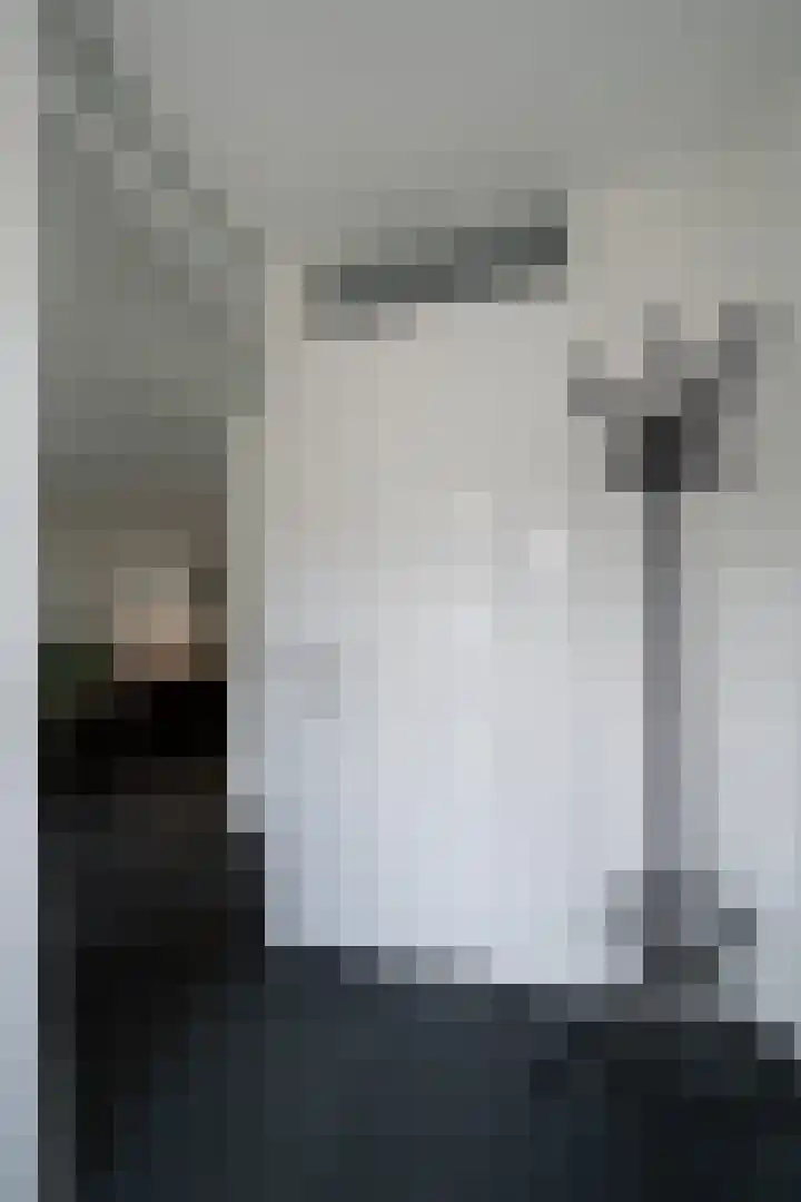 Siem Boonenstraat 4 Haelen thumbnail 15