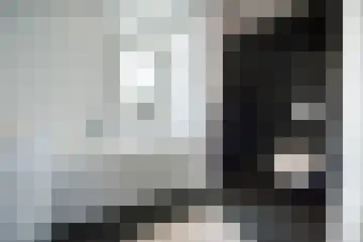 Siem Boonenstraat 4 Haelen thumbnail 18