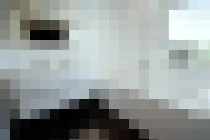 Siem Boonenstraat 4 Haelen thumbnail 19