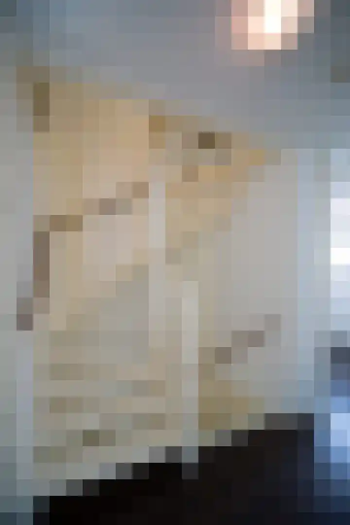 Siem Boonenstraat 4 Haelen thumbnail 26