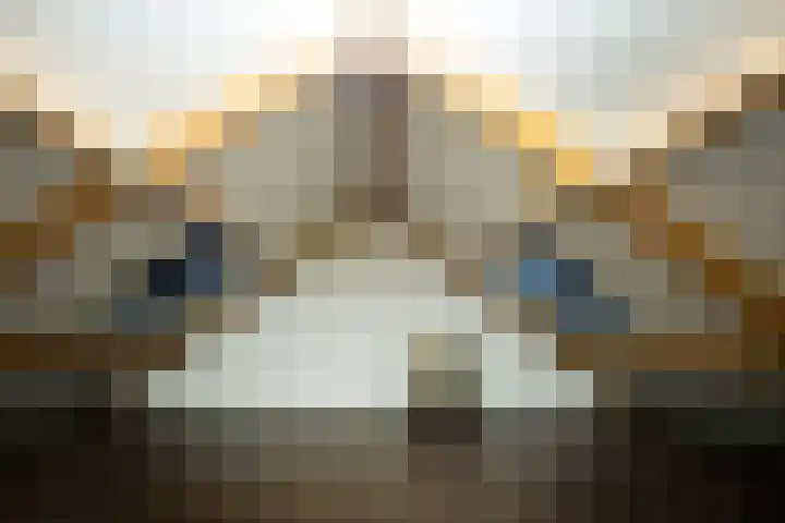 Siem Boonenstraat 4 Haelen thumbnail 27