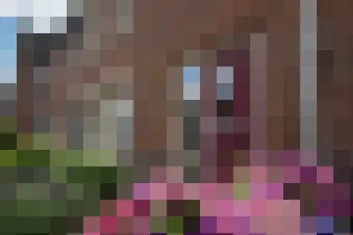 Siem Boonenstraat 4 Haelen thumbnail 5