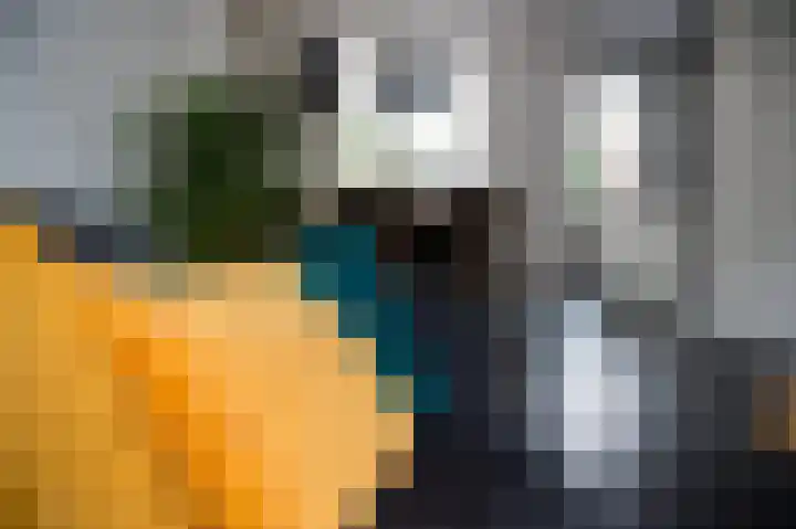 Siem Boonenstraat 4 Haelen thumbnail 9