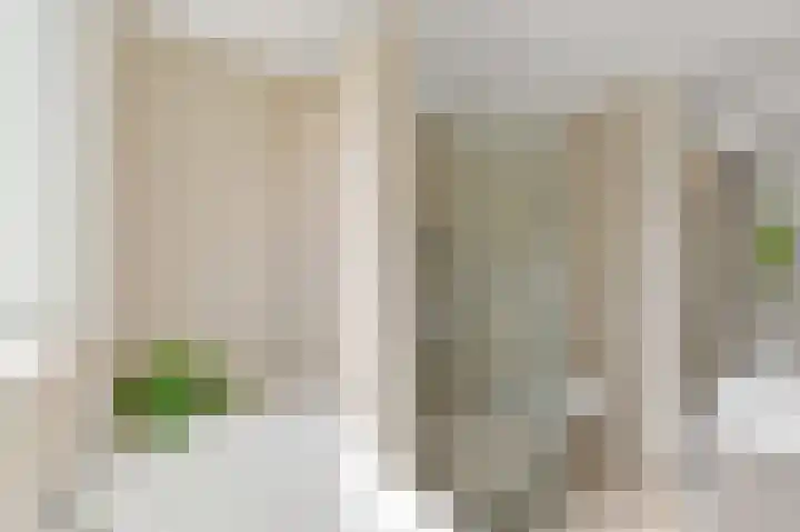 Siem Leenestraat 5 Den Haag thumbnail 31
