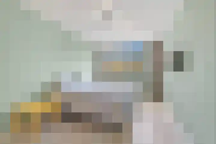 Siem Leenestraat 5 Den Haag thumbnail 33