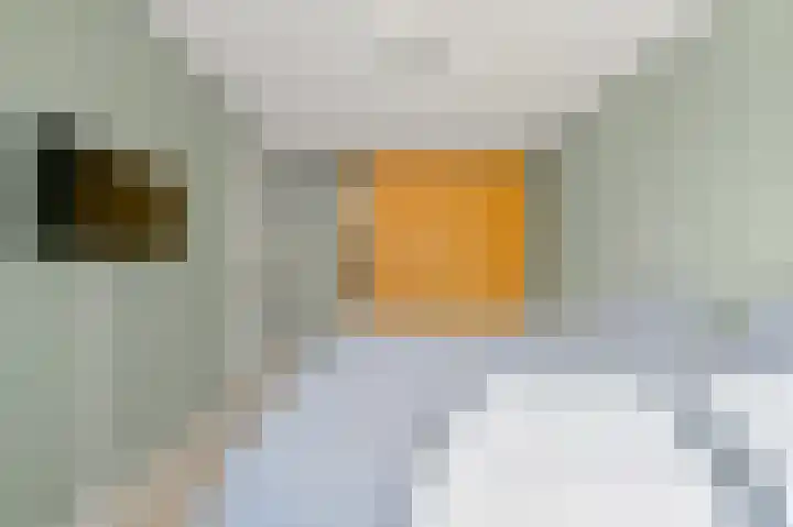 Siem Leenestraat 5 Den Haag thumbnail 34