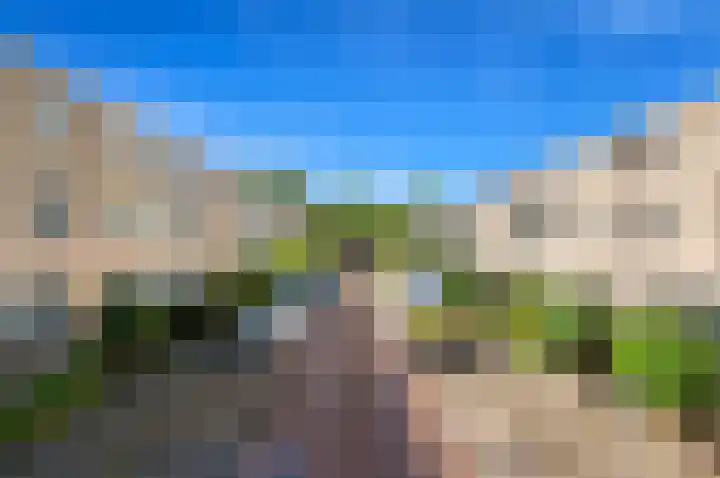 Siem Leenestraat 5 Den Haag thumbnail 4