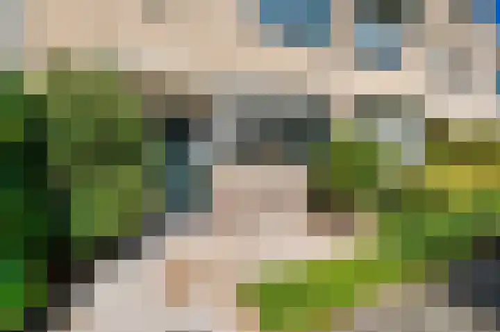 Siem Leenestraat 5 Den Haag thumbnail 5