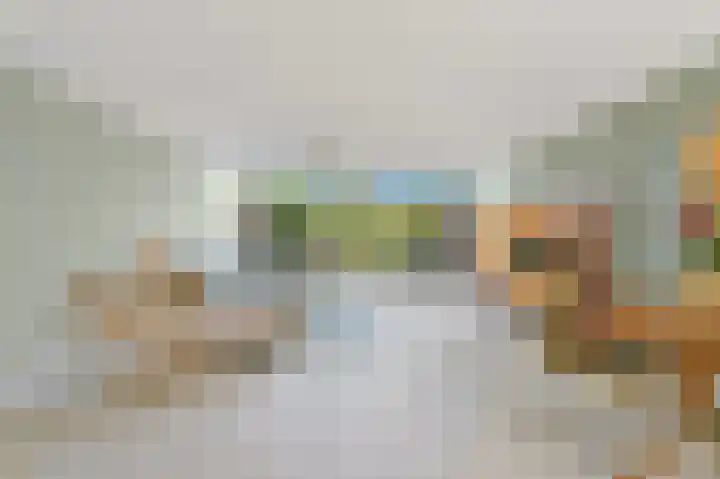 Siem Leenestraat 5 Den Haag thumbnail 6