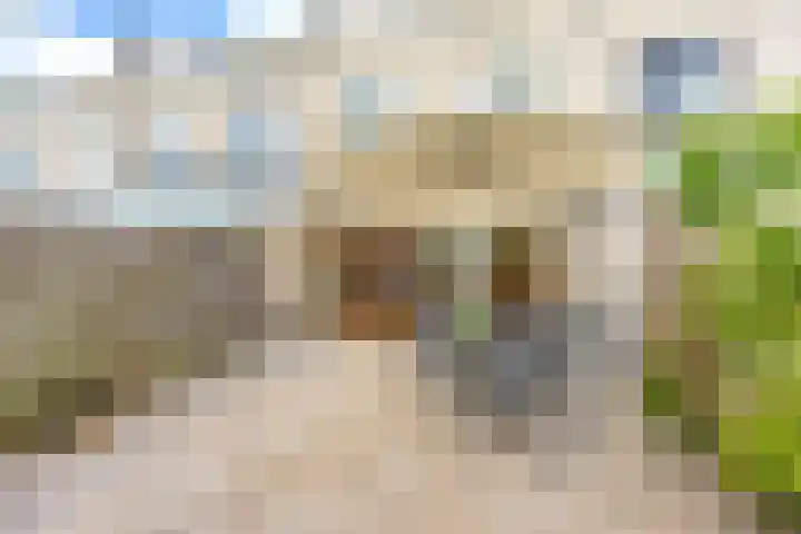 Siem Leenestraat 8 Den Haag thumbnail 13