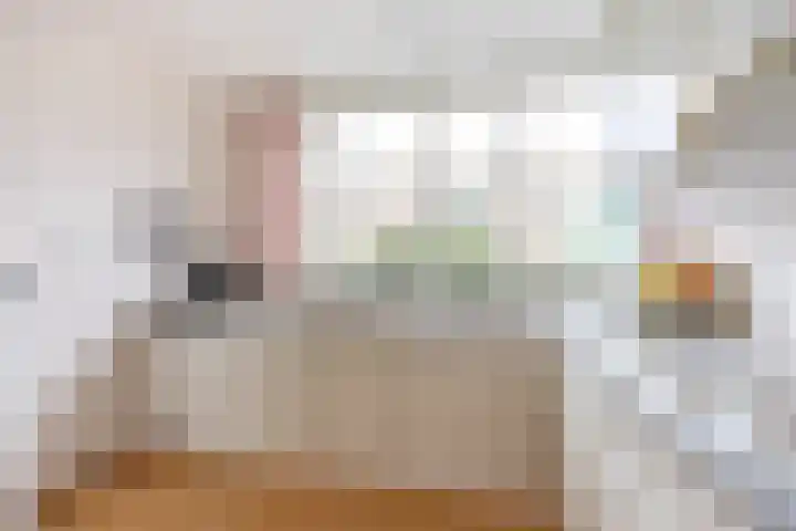 Siem Leenestraat 8 Den Haag thumbnail 17