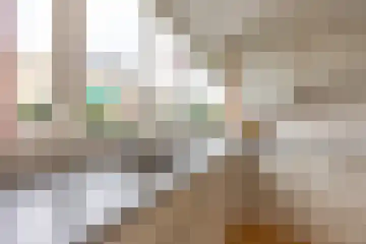 Siem Leenestraat 8 Den Haag thumbnail 18