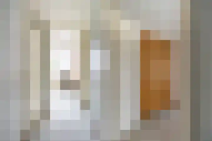 Siem Leenestraat 8 Den Haag thumbnail 21