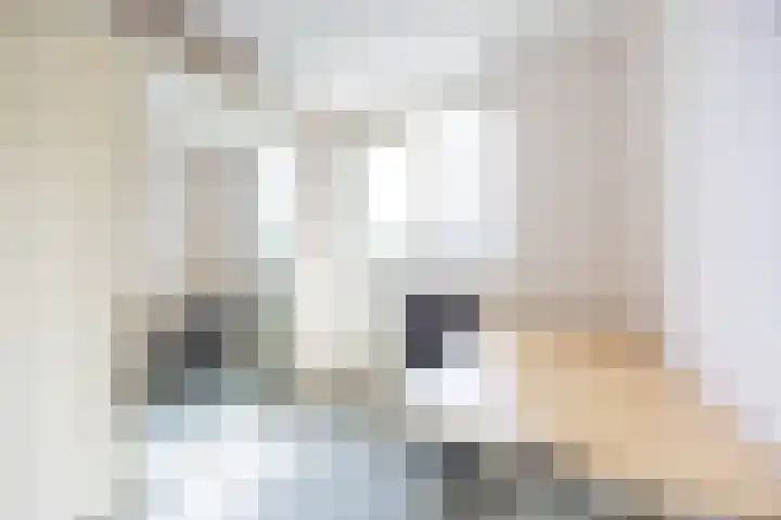 Siem Leenestraat 8 Den Haag thumbnail 22