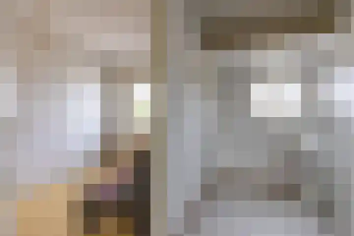 Siem Leenestraat 8 Den Haag thumbnail 34