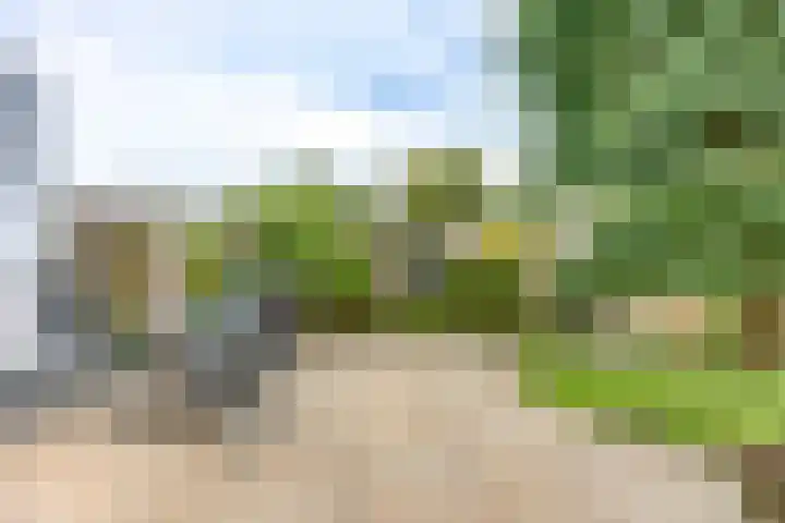 Siem Leenestraat 8 Den Haag thumbnail 5