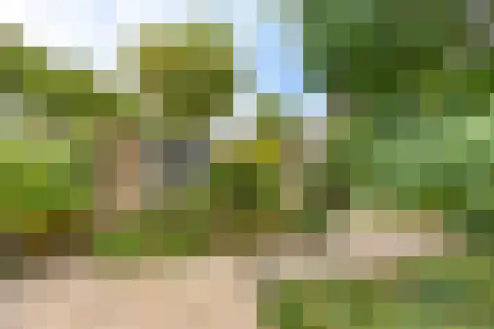 Siem Leenestraat 8 Den Haag thumbnail 8