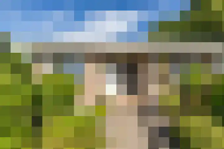 Siemenspark 2 Zuidbroek thumbnail 10