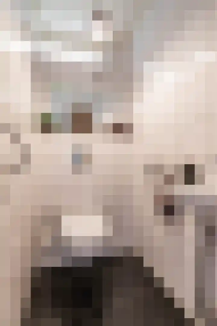 Siemenspark 2 Zuidbroek thumbnail 13