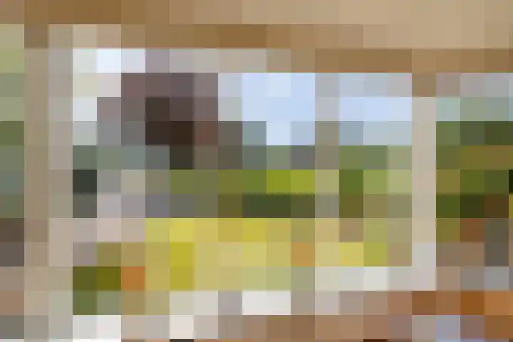 Siemenspark 2 Zuidbroek thumbnail 20