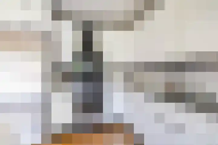 Siemenspark 2 Zuidbroek thumbnail 29