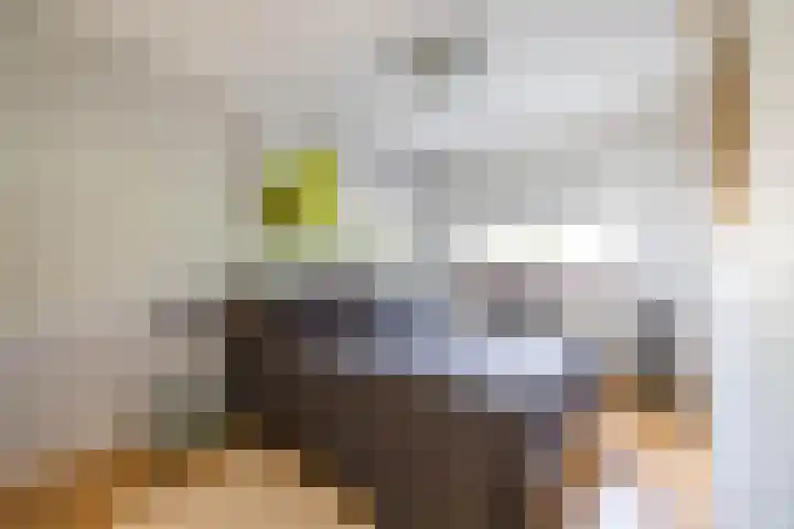 Siemenspark 2 Zuidbroek thumbnail 40