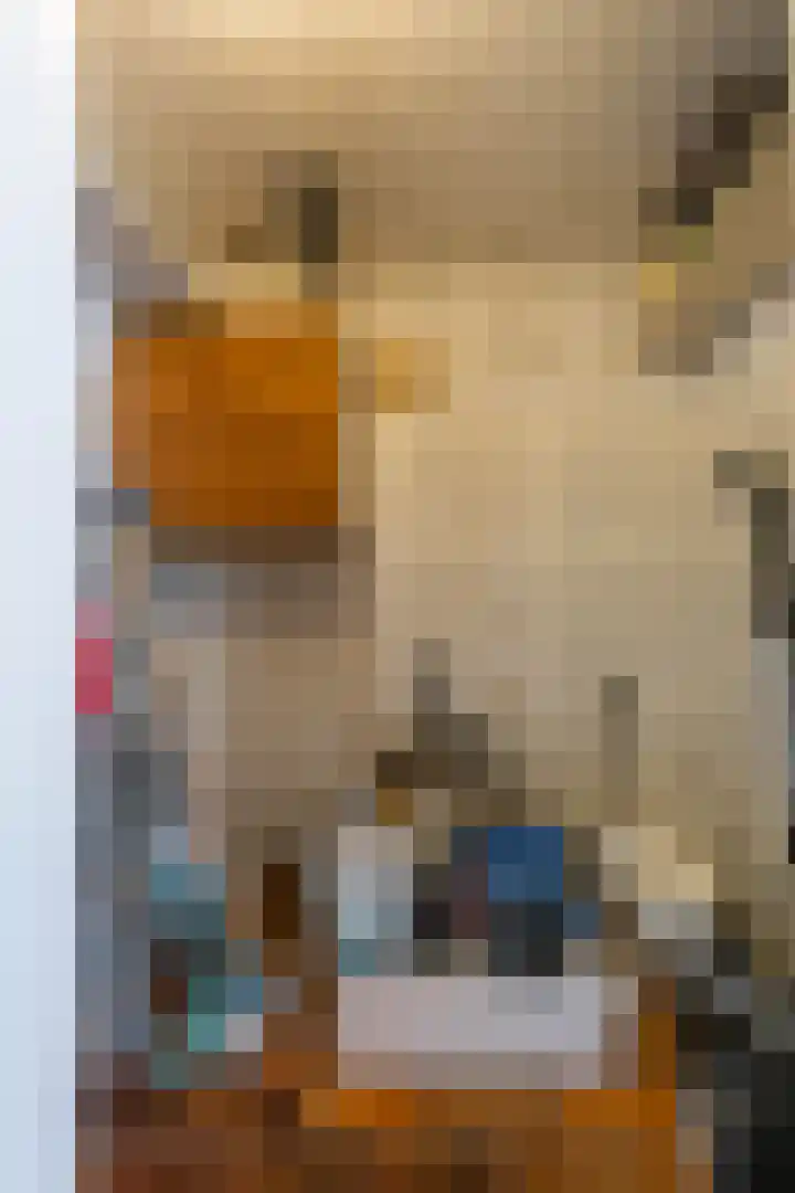 Siemenspark 2 Zuidbroek thumbnail 45