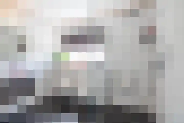 Siemenspark 2 Zuidbroek thumbnail 49