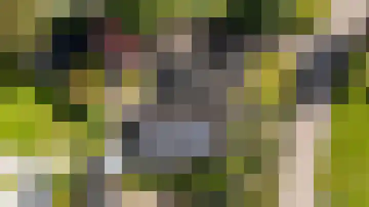 Siemenspark 2 Zuidbroek thumbnail 5