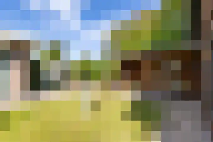 Siemenspark 2 Zuidbroek thumbnail 55