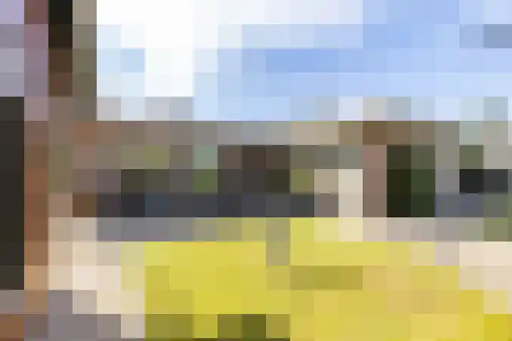 Siemenspark 2 Zuidbroek thumbnail 58
