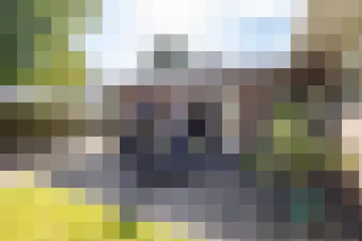 Siemenspark 2 Zuidbroek thumbnail 59