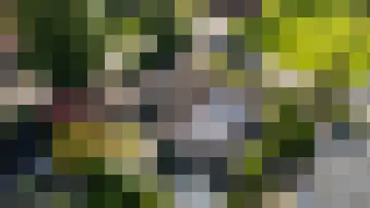 Siemenspark 2 Zuidbroek thumbnail 6