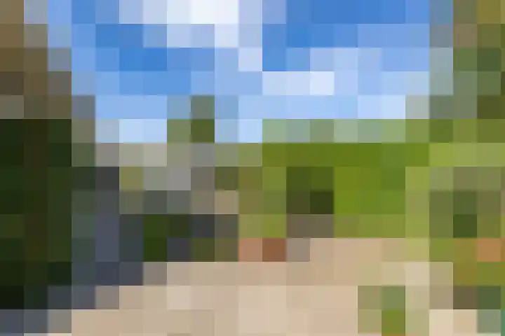 Siemenspark 2 Zuidbroek thumbnail 60